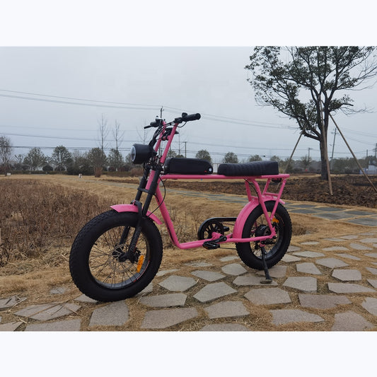 H813df48b083e46e4b261ef3ab69a6332a.jpgfat bike, ebike, ebike for sale,  scooter, electric scooter, folding electric ebike, folding bike, mountain bike, segway, hoverboard,  side view