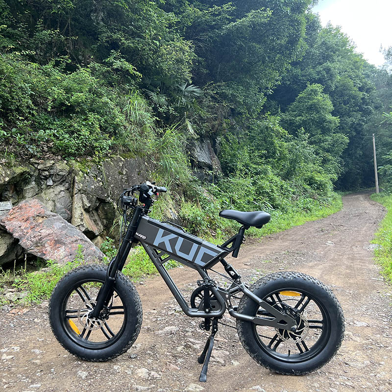 Hdc52716a531249deb2dcd72c7b340524h.jpg fat bike, ebike, ebike for sale,  scooter, electric scooter, folding electric ebike, folding bike, mountain bike, segway, hoverboard,  side view live